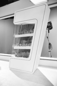 ronchetti_dinghy_racciano-2017__MG_0133